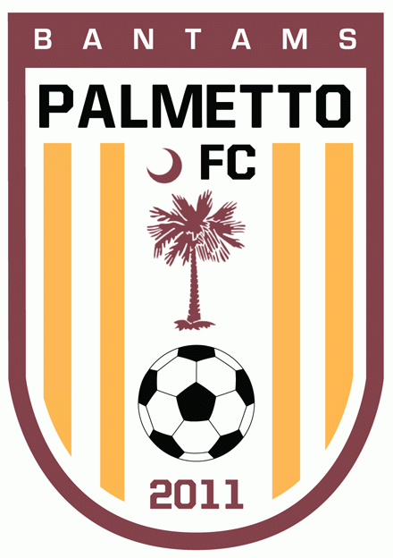 palmetto fc bantams 2012-pres primary Logo DTF transfer for t shirt